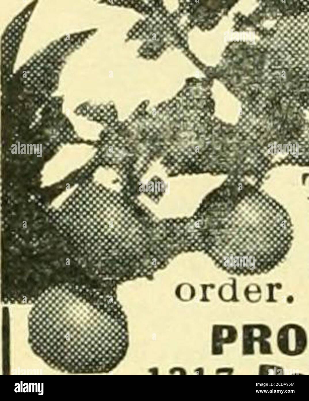 River boci hires stock photography and images Alamy