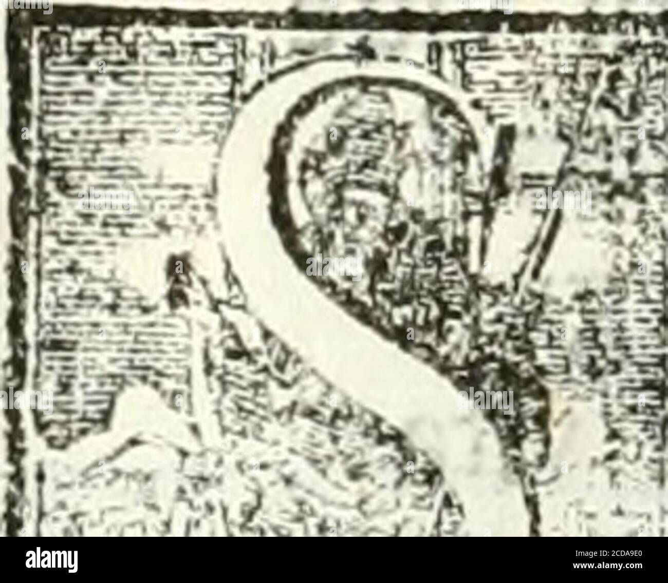 Roma O Morte High Resolution Stock Photography And Images Alamy