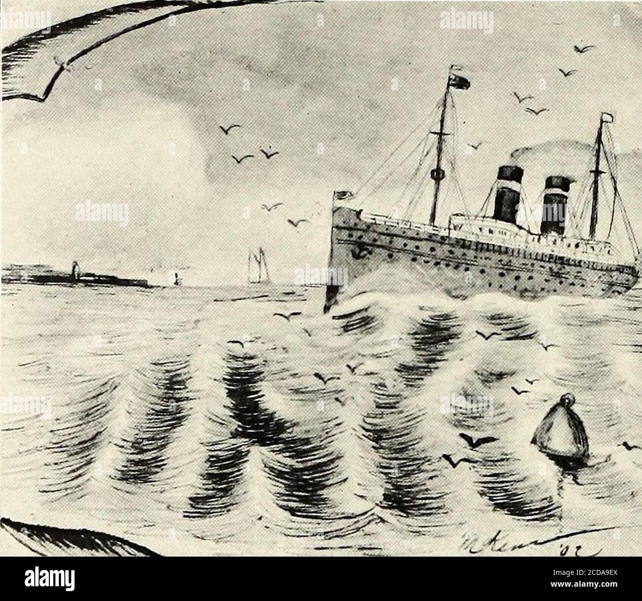 St Nicholas Serial By Marion D Freeman Ace Io Third Prize Wild Animal Photograph The Fields Of Summer Time By Margaret E Mauson Age 16 Silver Badge Heigh Ho For The Grass Green Fields And The