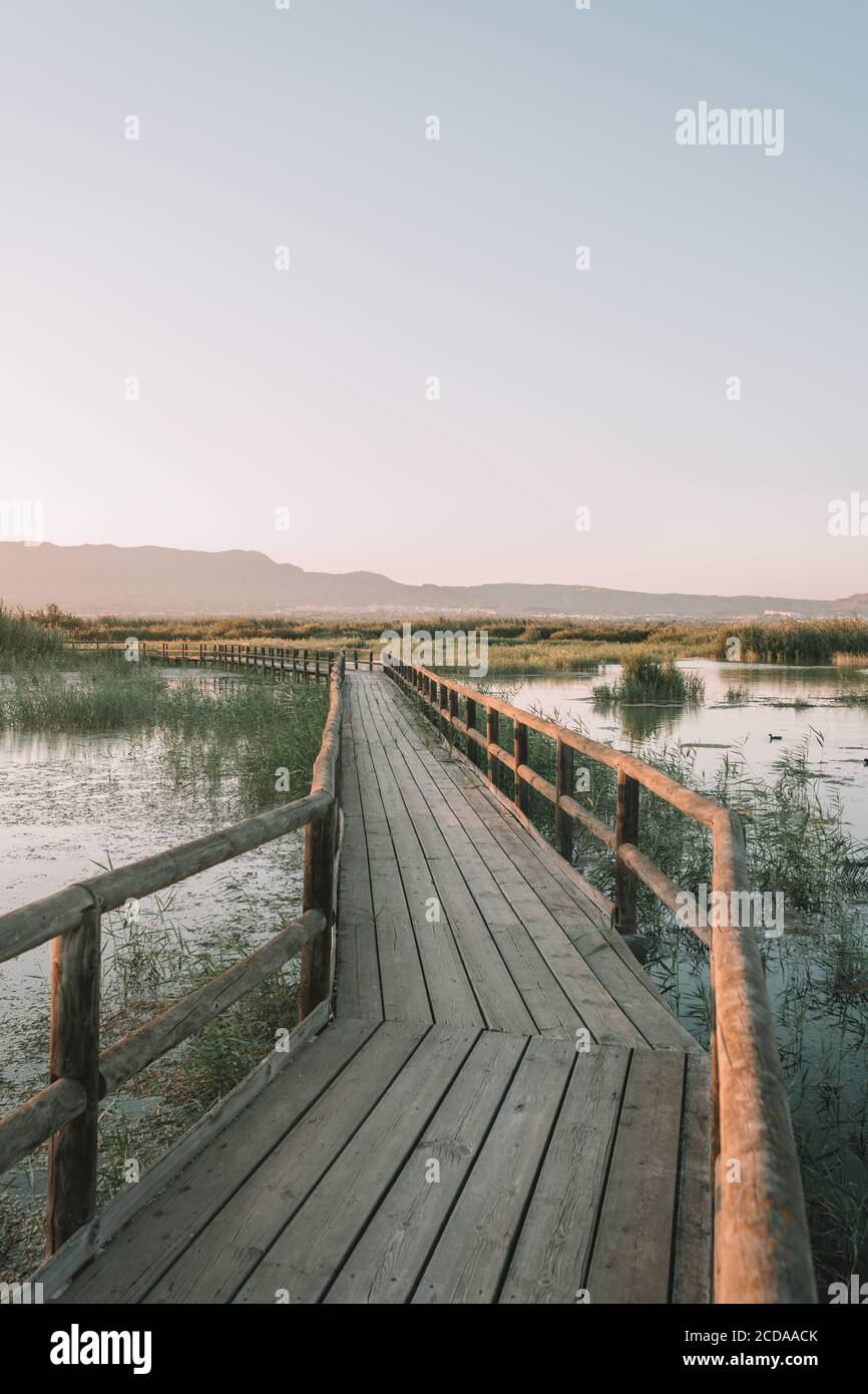 Vertical shot of a wooden bridge with fences in nature Stock Photo - Alamy