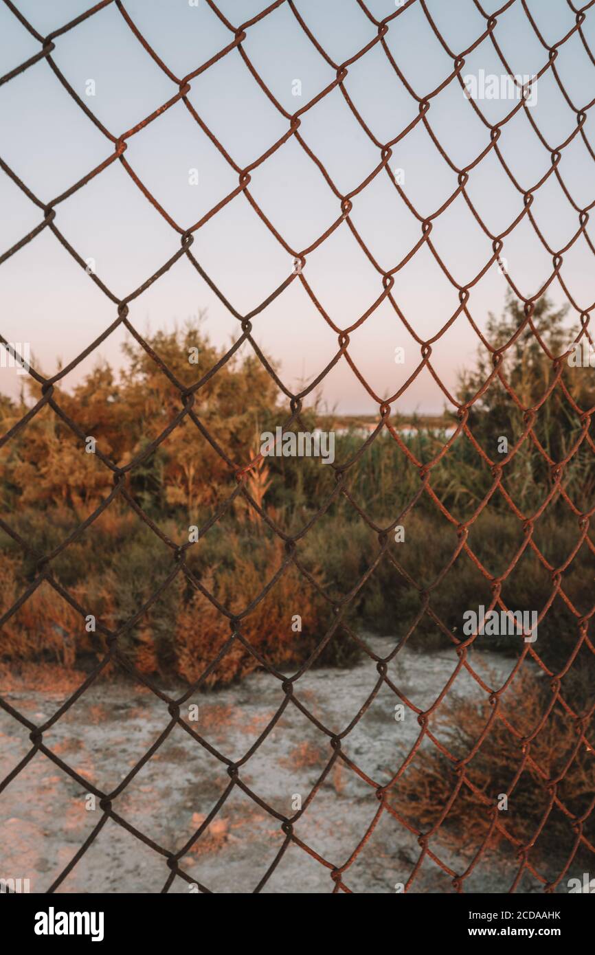 Vertical shot of nature through a metal grid fence Stock Photo - Alamy