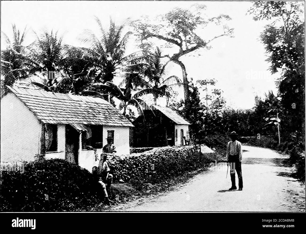. Life and adventure in the West Indies; a sequel to Adventures in search of a living in Spanish-America . House on Belmore Estate, with Banana Plantation behind.. Road between Williamsfiald and Mandeville. IN JAMAICA 59 fifty miles to the west of Kingston and had been spoken of as adesirable district. In the same direction also, but nearer Kingston,was a sugarcane estate which I wished to visit on the return journey,,having a letter of introduction to the manager. Railway stations in Jamaica have a quiet and peaceful look aboutthem. The nearest approach which I ever saw to a dispute in theirv Stock Photo
