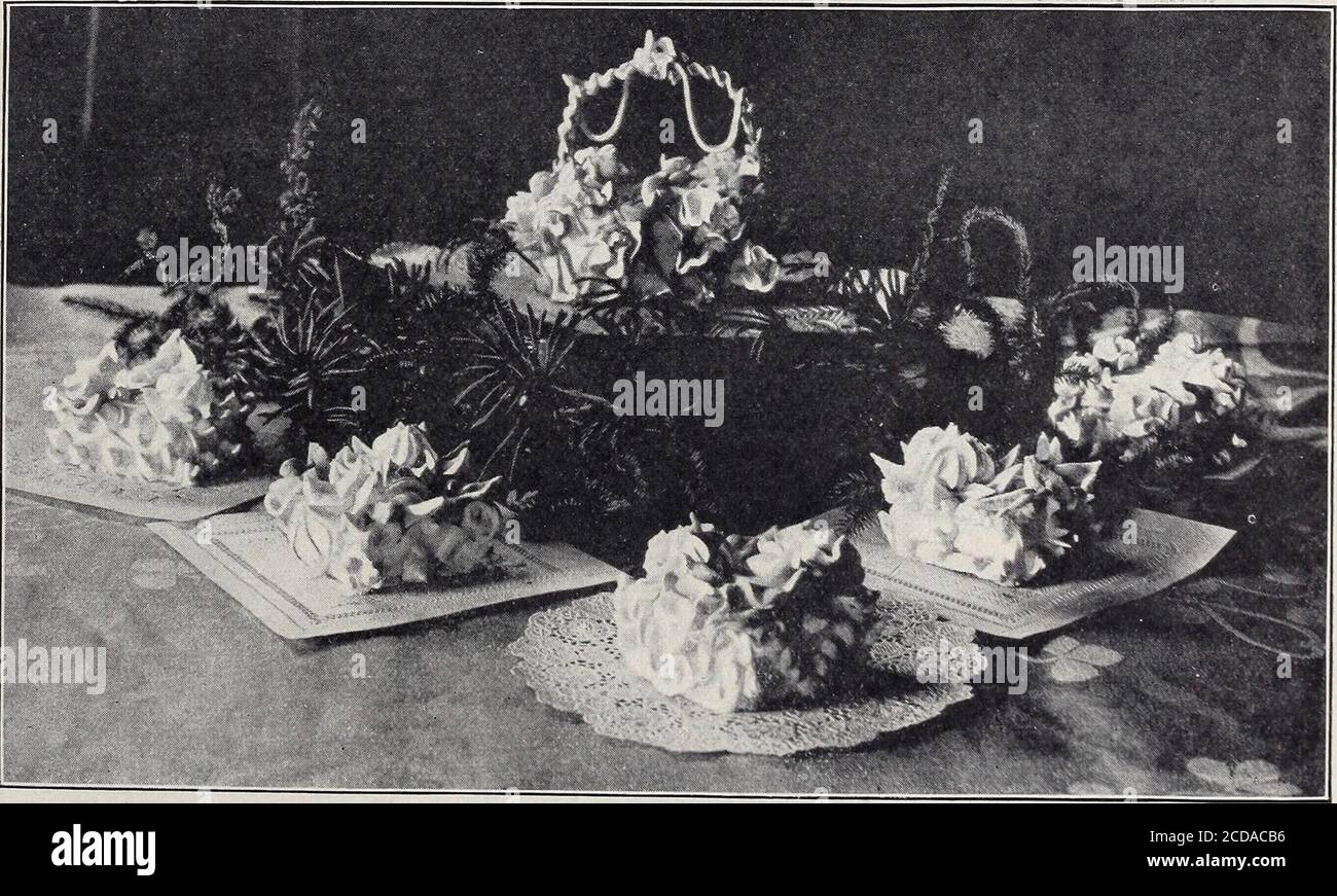 . The Boston Cooking School magazine of culinary science and domestic economics . Large Cake and Small Basket made of Cake and decorated with Rosettesand Ribbons of Boiled Frosting Small Cakes with Frosting in Chrysanthemum Pattern Prepared by Mrs. F. Herbrick, Nashville, Tenn.. * --SB ai8 The Boston Cooking-School Magazine 25?SS°Ct 25?u& s^ KS 25? 55? SS25?SS25?»15? 25?SS25?F^25?£S25?SS25?S325?S^°CtSi25?Si25?Si*3J Stock Photo