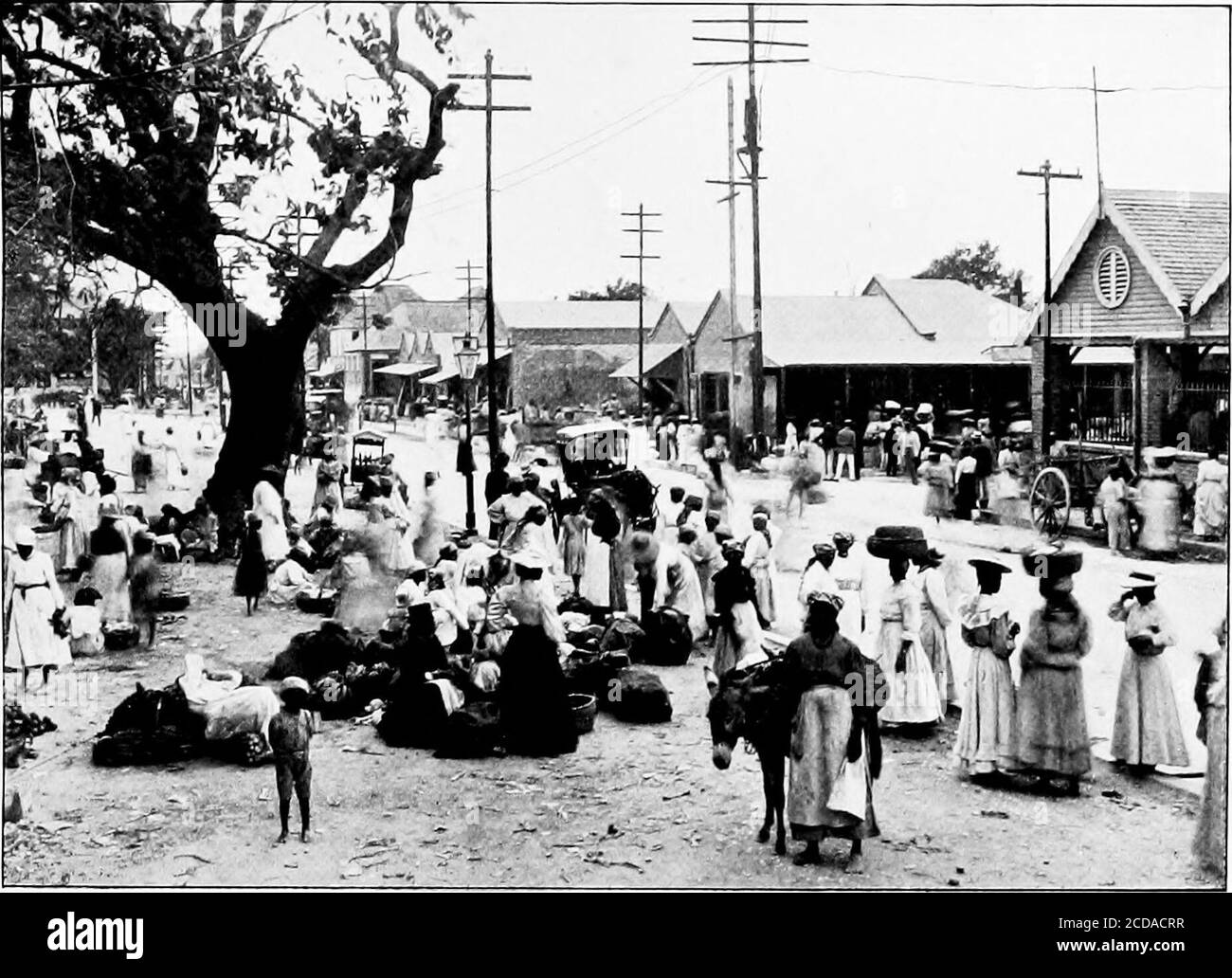 Life and adventure in the West Indies; a sequel to Adventures in search of  a living in Spanish-America . was a generalcatastrophe in the number of  frightened people on the roadside,