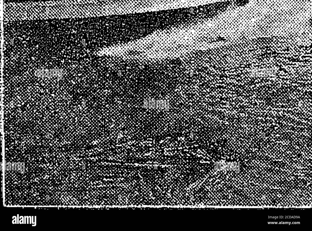 . The War Cry Stock Photo Alamy