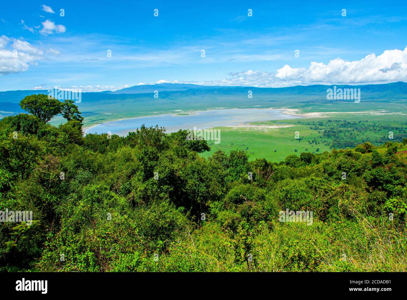 Panoramic view of crater and rim of Ngorongoro Conservation Area, Tanzania. Lake Magadi is also visible M Stock Photo