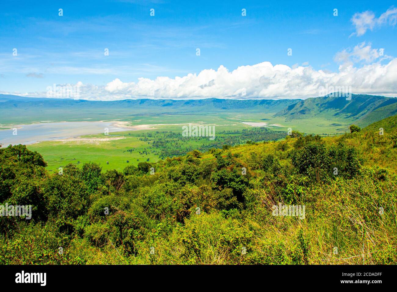 Panoramic view of crater and rim of Ngorongoro Conservation Area, Tanzania. Lake Magadi is also visible M Stock Photo