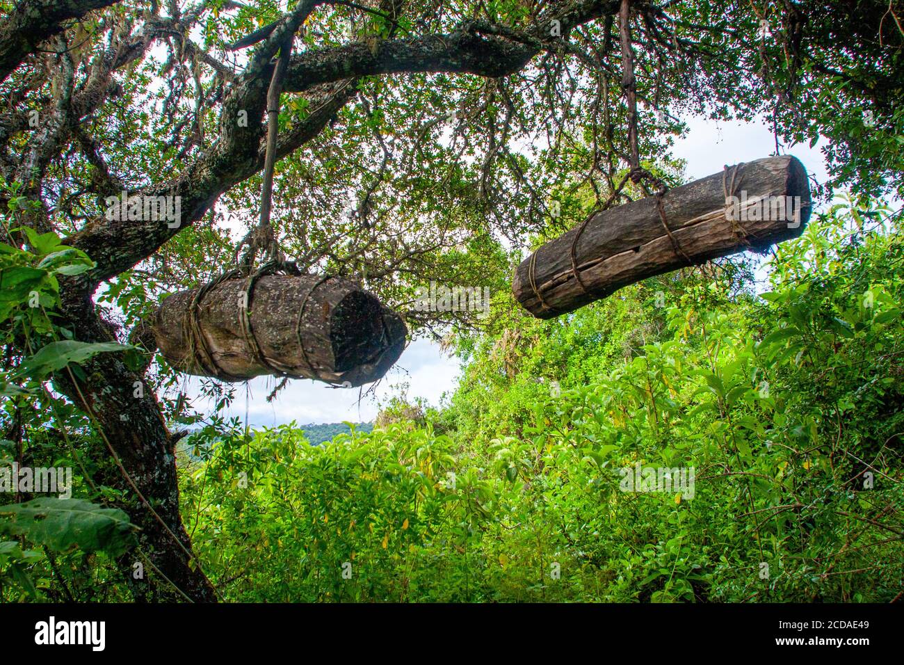Traditional beehives hi-res stock photography and images - Alamy