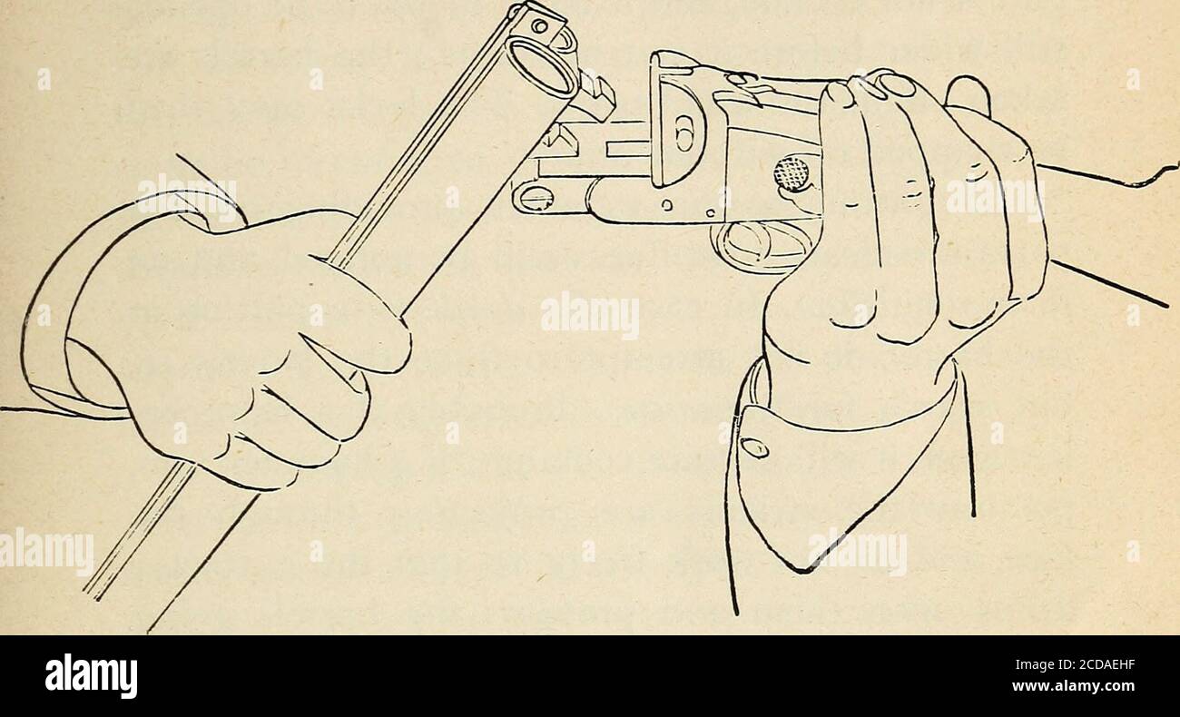 . The breechloader and how to use it . he illustration, care being