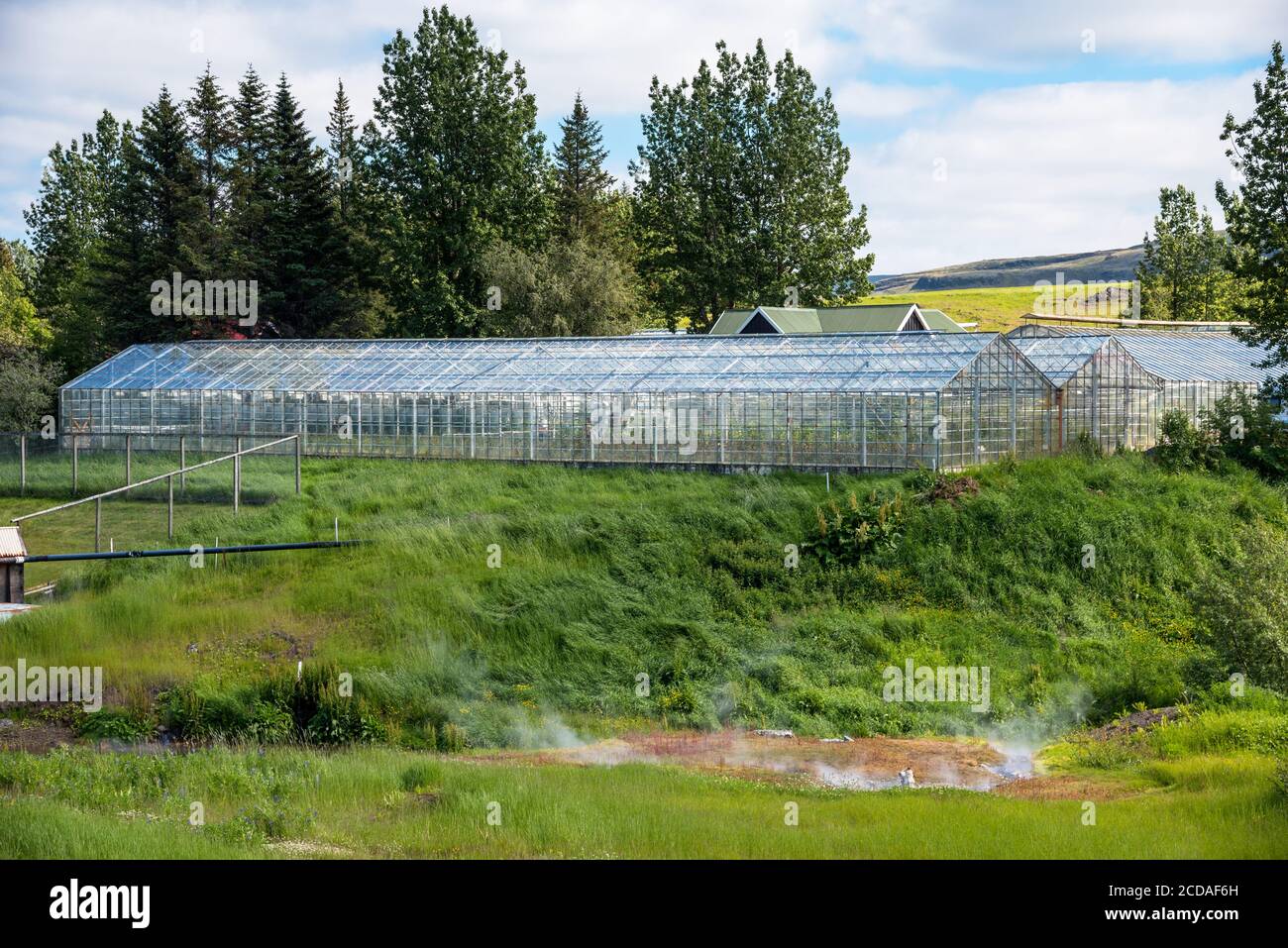 Geothermal heated greenhouses in Iceland on a summer day Stock Photo