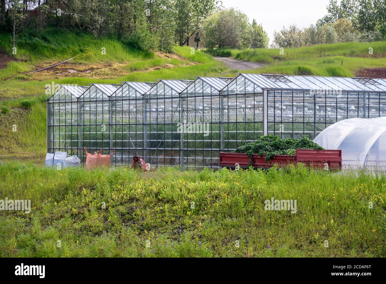 Row of geothermal greenhouses in Iceland on a cloudy summer day Stock Photo