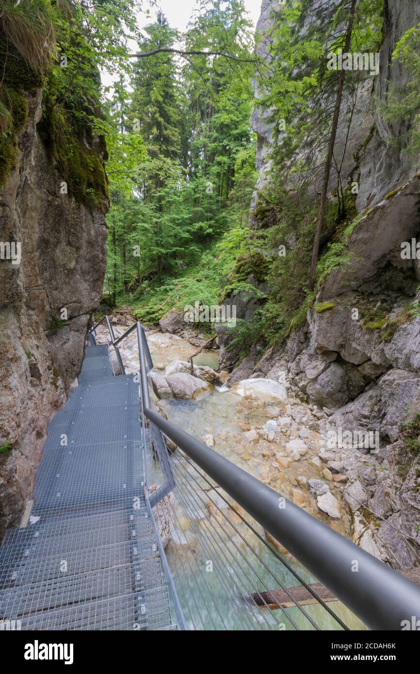 The shwangau waterfalls and its tophill Neuschwanstein castle Stock Photo
