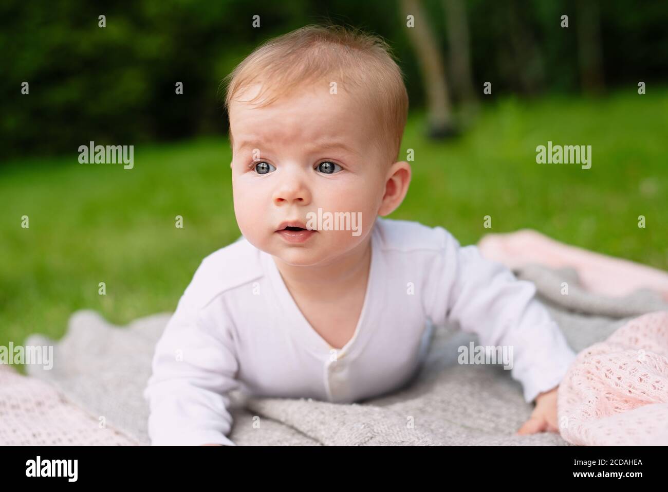 cute baby crawling in park on green grass, concept of walking outdoors, playing in park Stock Photo