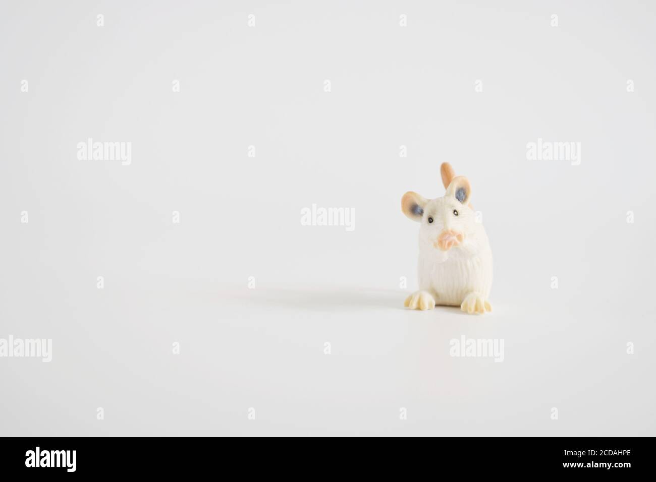 toy miniature white mouse, isolated plastic toy mouse on white background Stock Photo