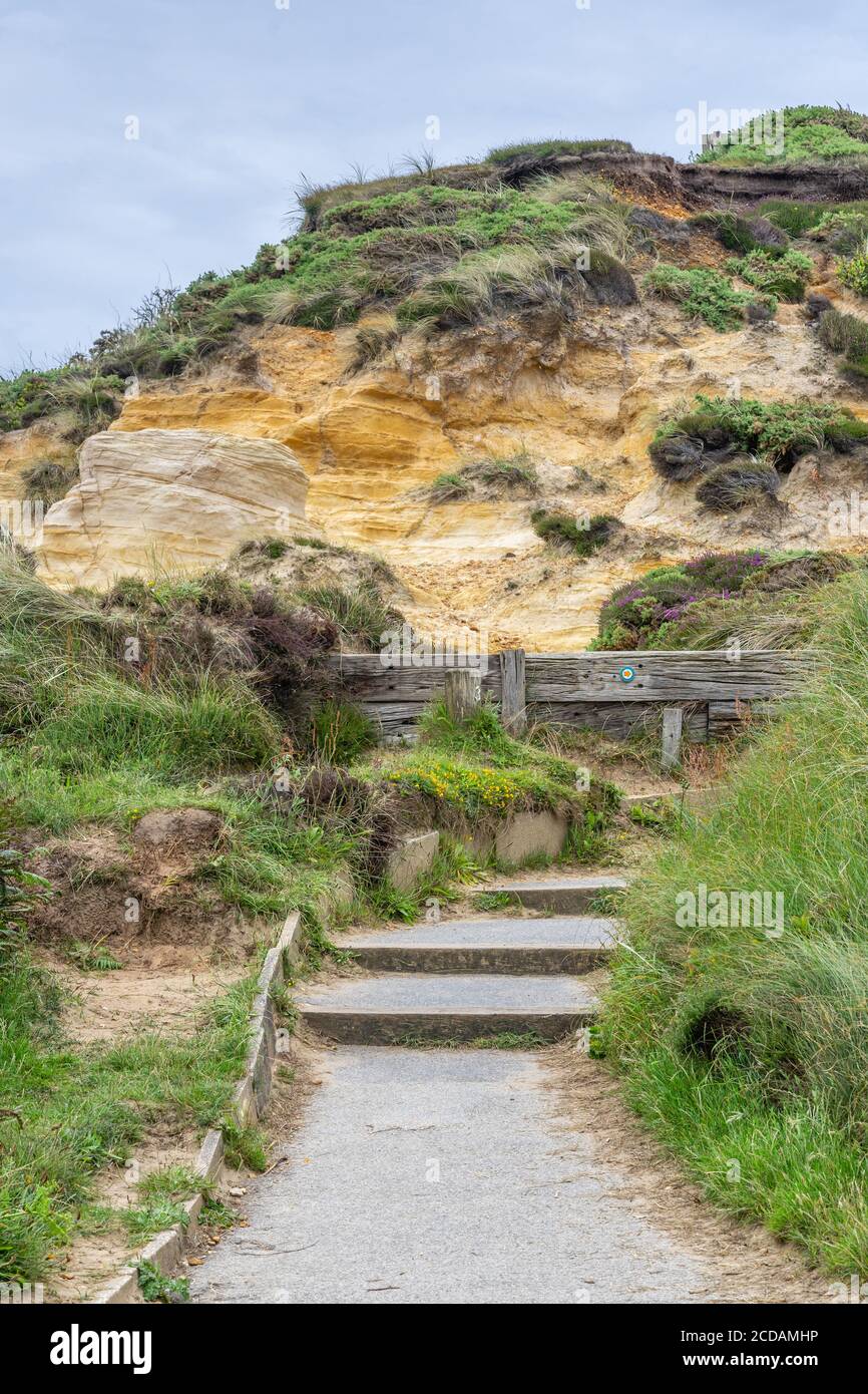 Path with stairs of the Stour Valley Way leading up to Warren Hill at Hengistbury Head headland nature reserve during summer in Dorset, England, UK Stock Photo