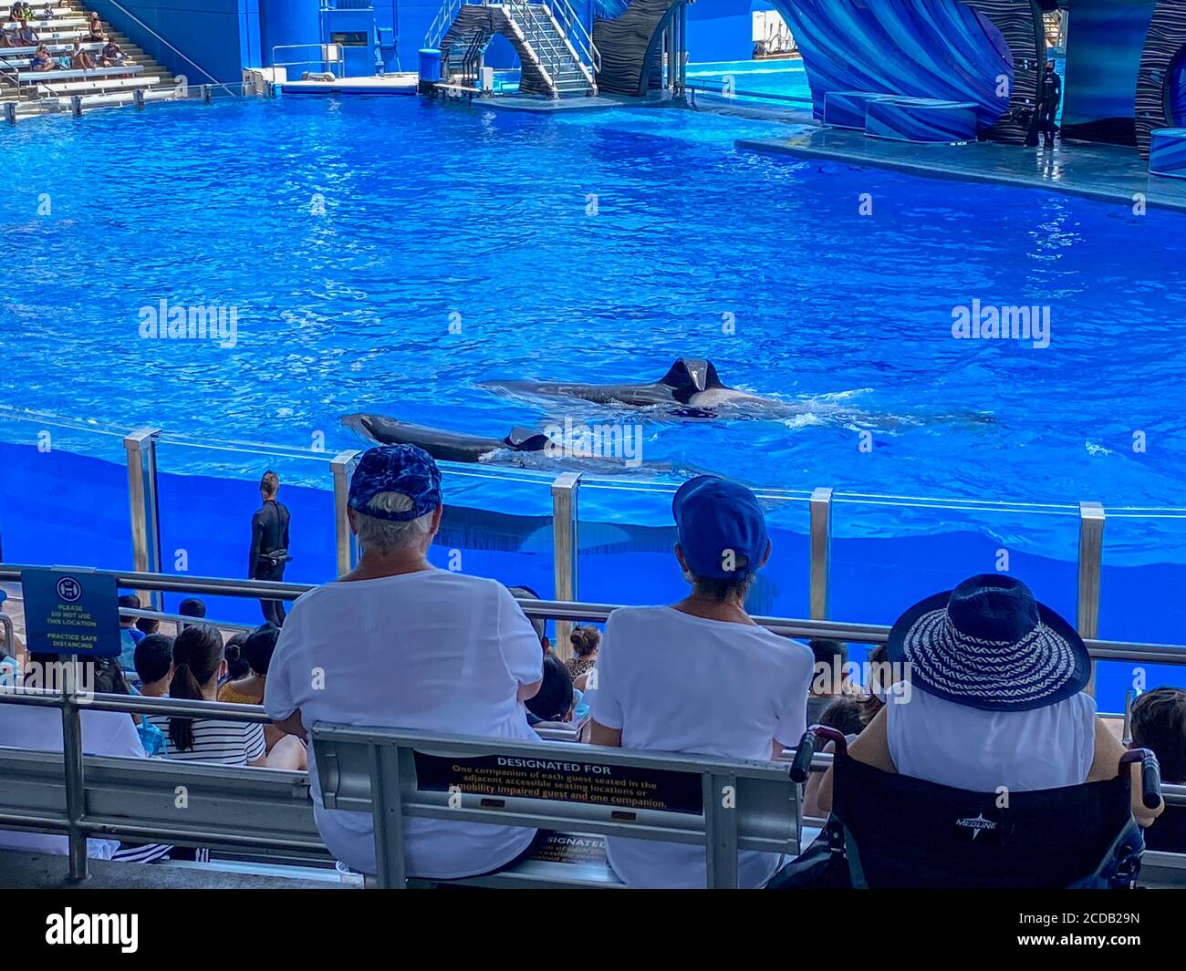 Orlando, FL/USA-7/12/20: The Orca or Killer Whale Exhibit at Seaworld ...