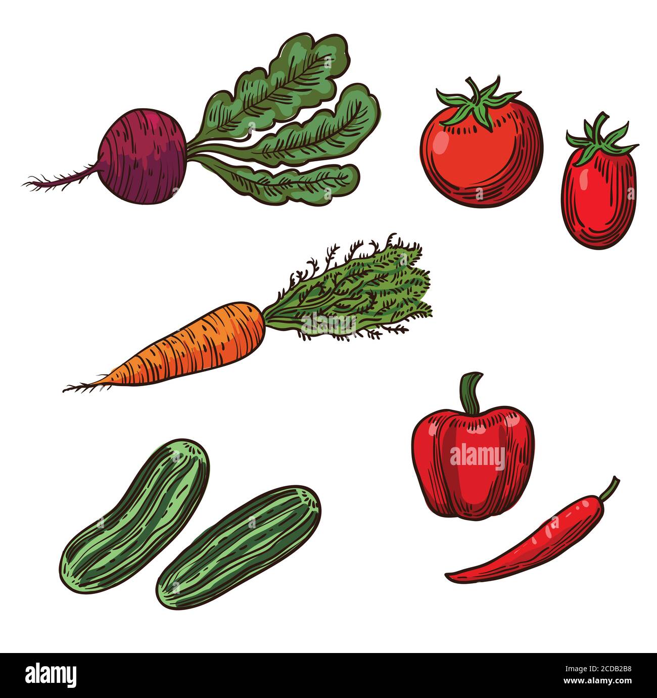 Details 157+ vegetable chart drawing super hot vietkidsiq.edu.vn