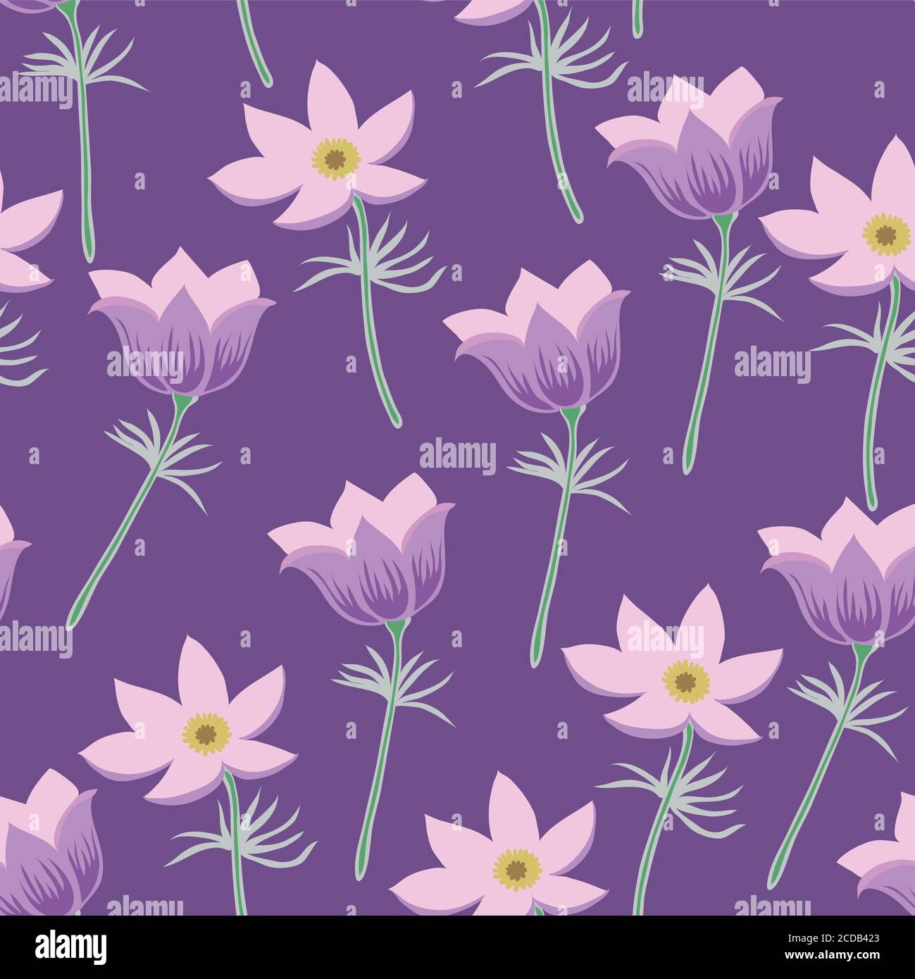 Pascal's Pattern Flower Seamless pattern with pasque flowers isolated on white background Stock ...