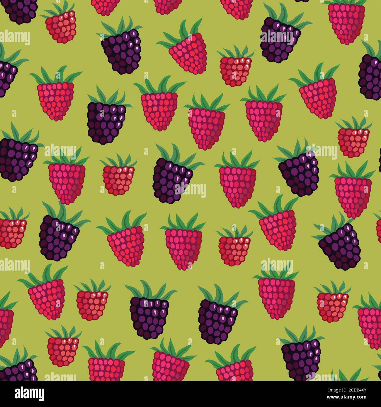 Seamless pattern with garden and wild raspberries Stock Vector