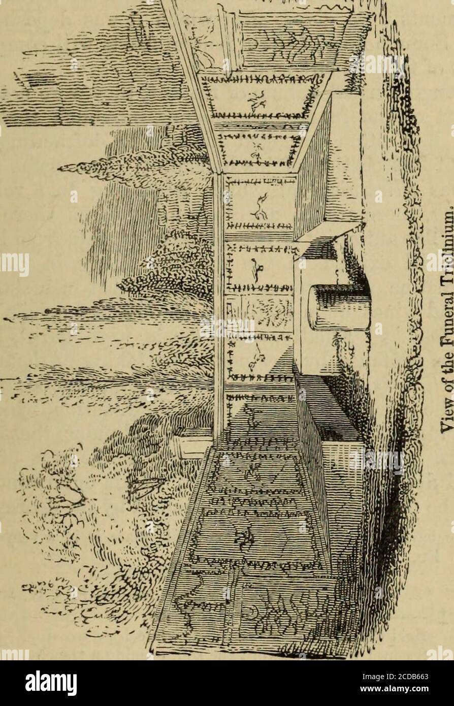 . Pompeii; its history, buildings and antiquities : an account of the destruction of the city, with a full description of the remains, and of the recent excavations and also an itinerary for visitors . will observe the columbaria, or little niches, so called fromtheir resemblance to the holes of a pigeon-house, in whichthe urns are severally deposited. Beyond this tomb, where the two roads separate, are theremains of a small square enclosure, 9, probably an ustrinum,or place for burning dead bodies. Its isolated situation I TOMBS. 515 appears to render it peculiarly suited to this purpose. It Stock Photo