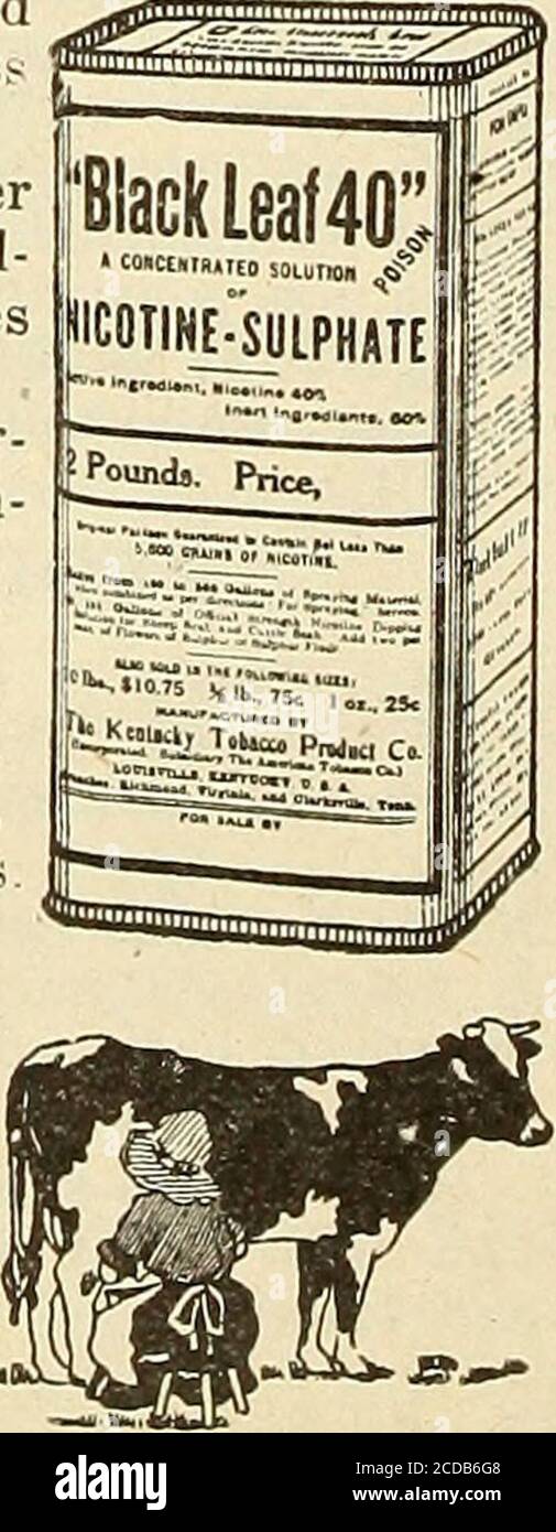 . Bolgiano's capitol city seeds : 1921 . roots of plants without injury to flower or foliage,leaving no foreign odor. This will be found a capi-tal wash for dogs; it relieves mange, destroys lice andall insects. Half pint, 30 cts.; pint, 60 cts.; quart,$1.00. Cut Worm Killer. One of the necessi-ties of the market and home garden.Cut Worms do so much damage each,year that it amounts to more thanmillion dollars. l-lb. Sprinkler Top|boxes, 25 cts.; 5-lb. Tin Cans, contain-ing Sprinkler Top box, $1.00 each; 25-lb.Drums, containing Sprinkler Top box,$4-00. Rat Killer. If we could but realize thedes Stock Photo