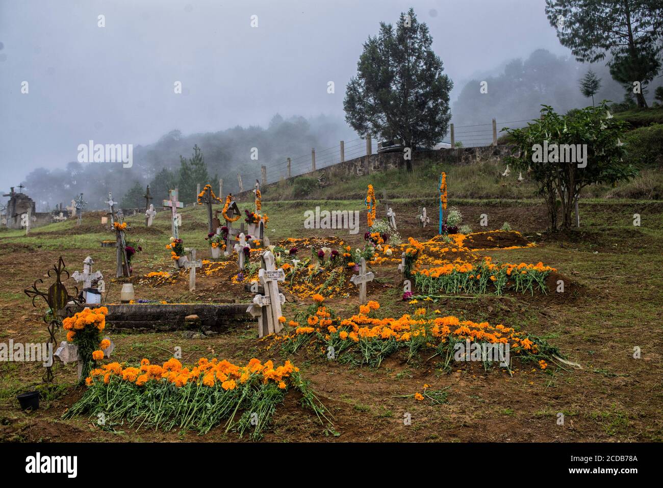 Tombs decorated with marigold flowers and other offerings at the cemetery during the Day of the Dead celebration. Stock Photo