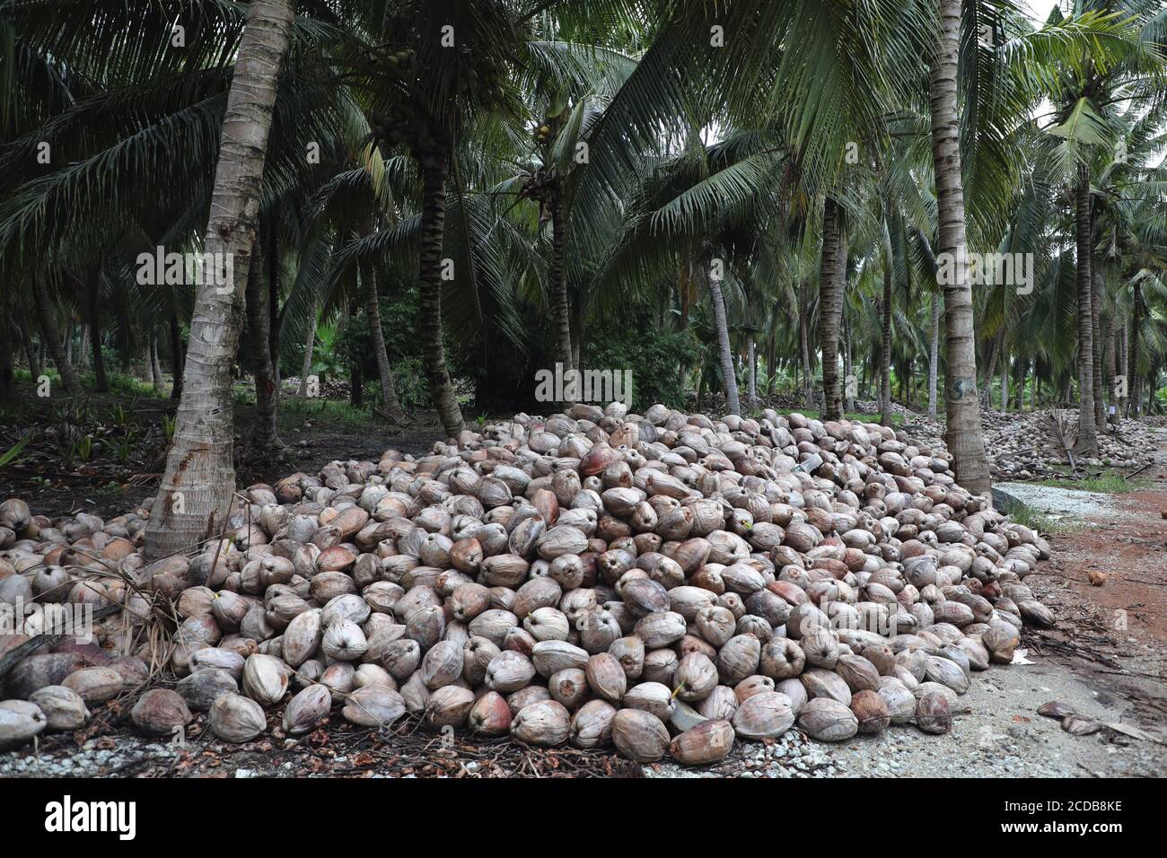 Sungai Besar High Resolution Stock Photography And Images Alamy