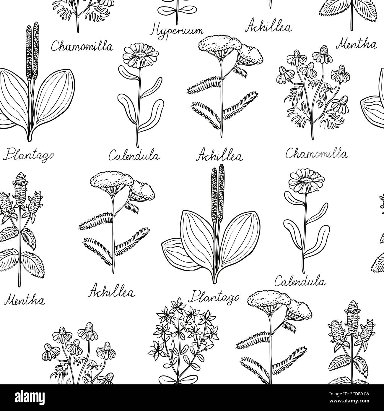 Amazon.com: HAUS AND HUES Kitchen Herbs Wall Art Decor for Kitchen Herb Art  Prints and Kitchen Signs Wall Decor | Herb Prints Kitchen Wall Art Kitchen  Prints Minimalist Herb Drawings (8x10, Framed