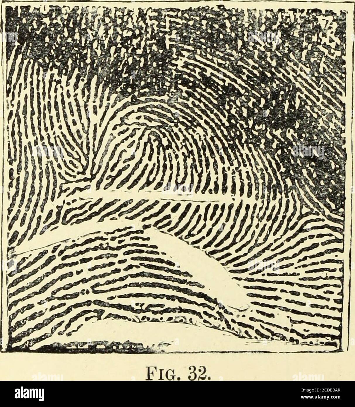 . Classification and uses of finger prints [electronic resource