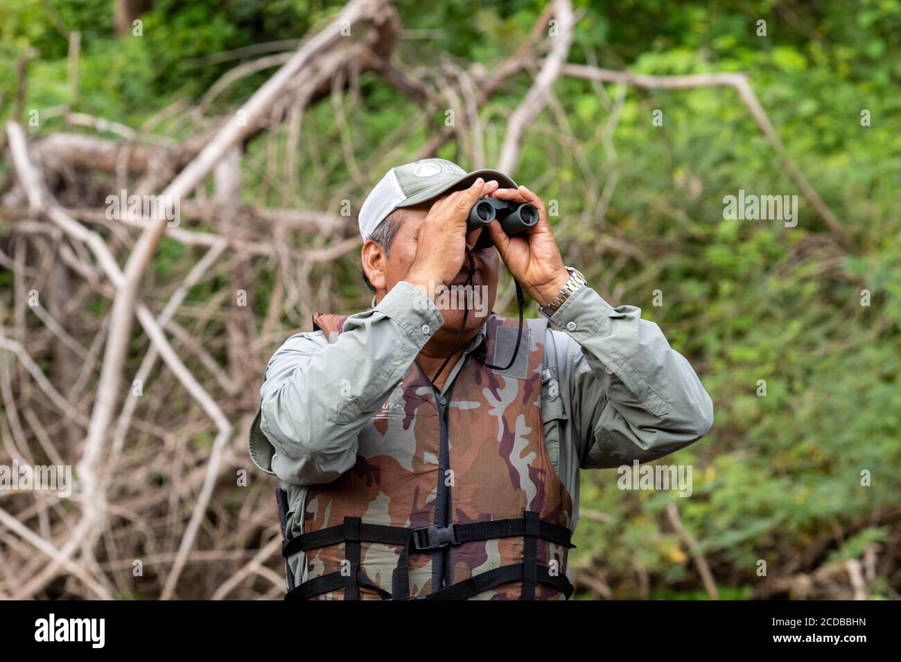 A Naturalist looks for wildlife in the Peruvian Amazon while on a boat  safari Stock Photo - Alamy