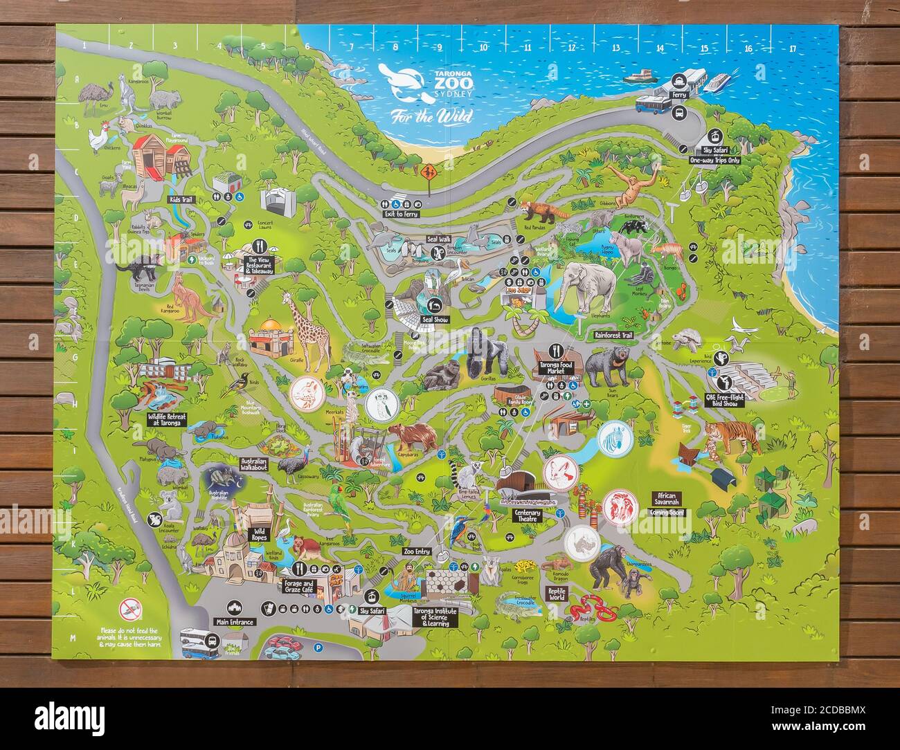 Taronga Zoo Map on a wooden wall on a sunny summer afternoon Stock Photo