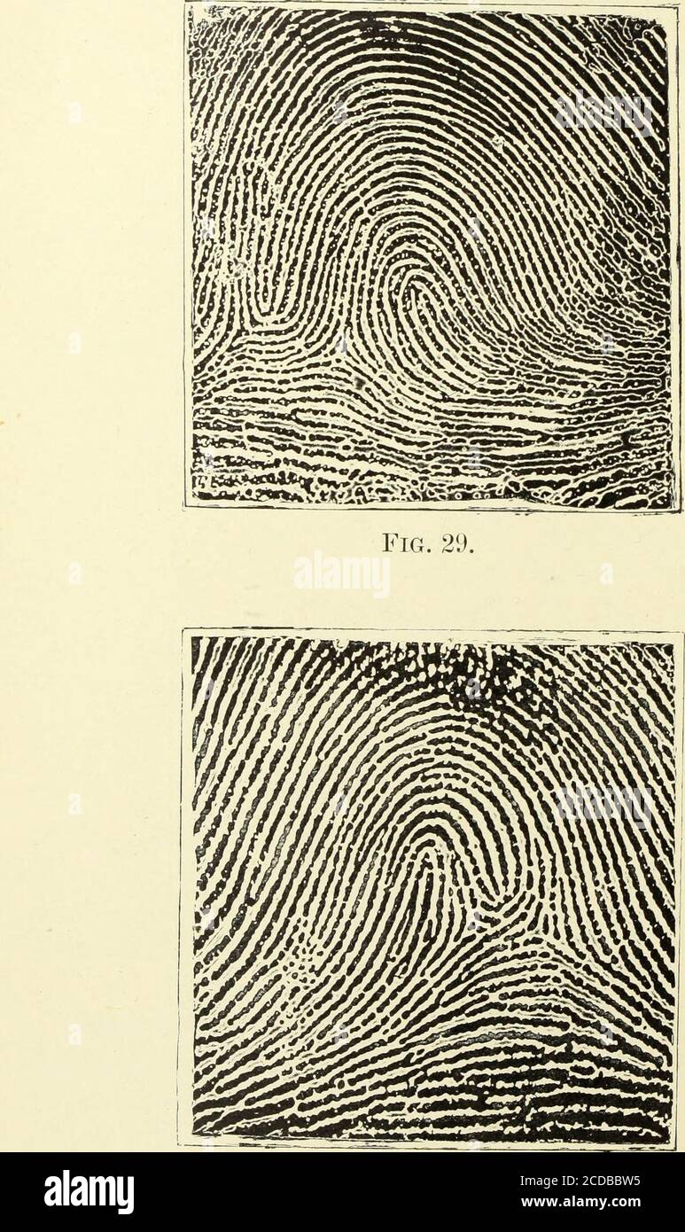 . Classification and uses of finger prints [electronic resource] . Fig