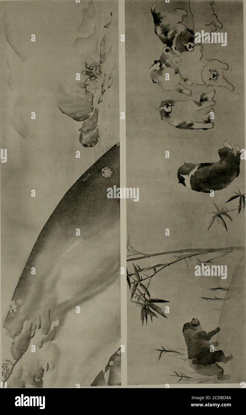 Mambi High Resolution Stock Photography And Images Alamy