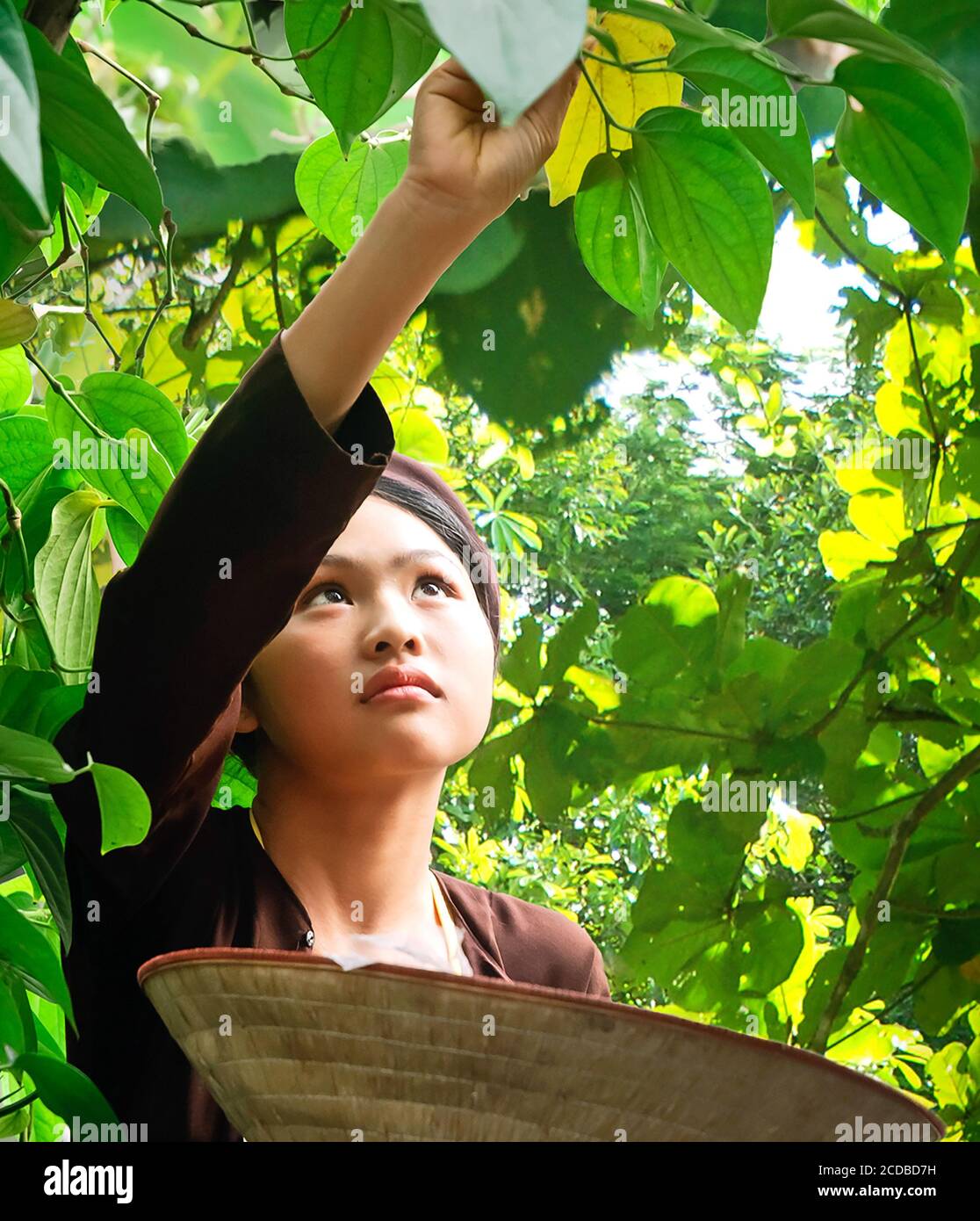 Portrait of a vietnamese girl hi-res stock photography and images - Alamy