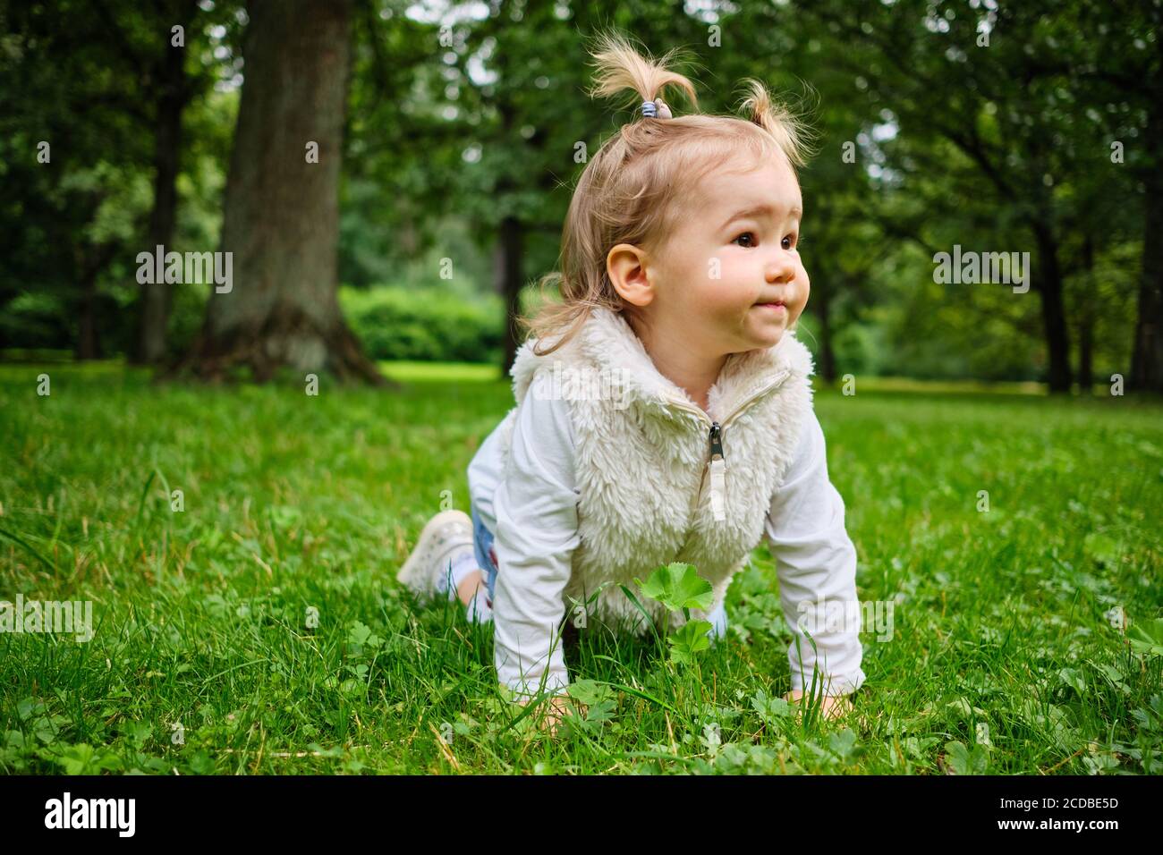 A joyful child crawls the grass in the park. Stock Photo