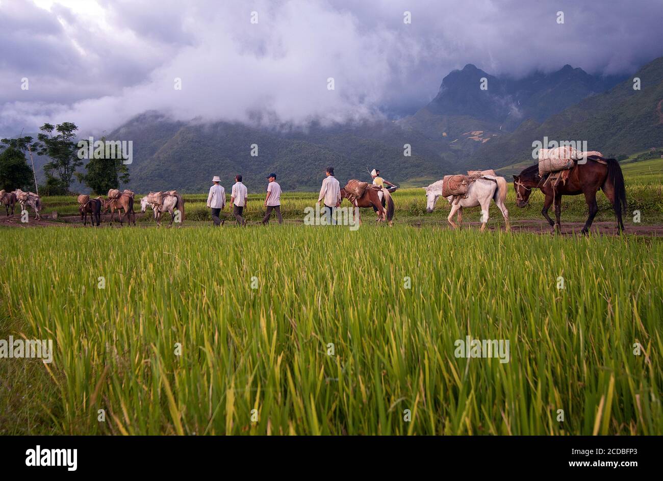 Scenery, daily life of people in the high mountains of Sa Pa, Vietnam Stock Photo