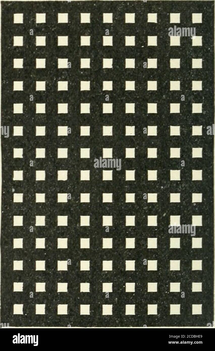 Dungelmann sale cheap