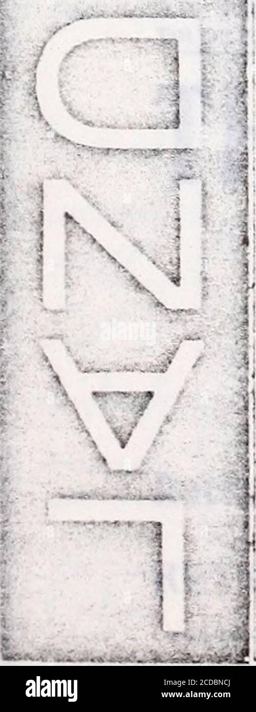 . Minnesota, North and South Dakota and Montana gazetteer and business directory . STERN TELEPHONE EXCHANGE CO. i which place mail is received by special ji supply. John Burta. P M. Bart a F A. carp. i Easton G H, gen repairer. QUAY. Rolette cotinty. A discon-tinued p o, 18 miles s w of RoUa, thecounty seat. Send mail to I^aureat. QUEST AD. Pop. 200. Ward county.A villag-e on the Mouse river, first set-tled in 1S85, in Muskesro township, 25miles n w of Minot, the county seat,and 8 e of Carpio. the shipping andbanking point, on the Soo Line. Tel-ephone service. Stage, tri-weekly. withmail, to C Stock Photo