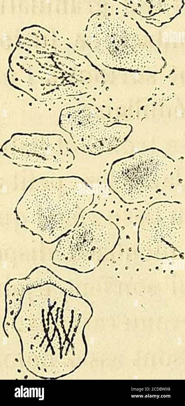 page 9 la touche high resolution stock photography and images alamy