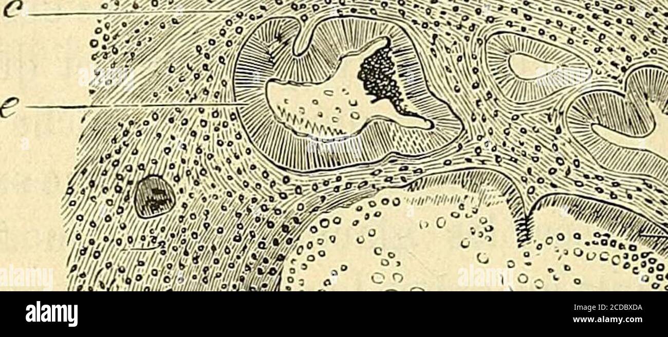 Page 2 Cylindriques High Resolution Stock Photography And Images Alamy Page 2 Cylindriques High Resolution Stock Photography And Images Alamy