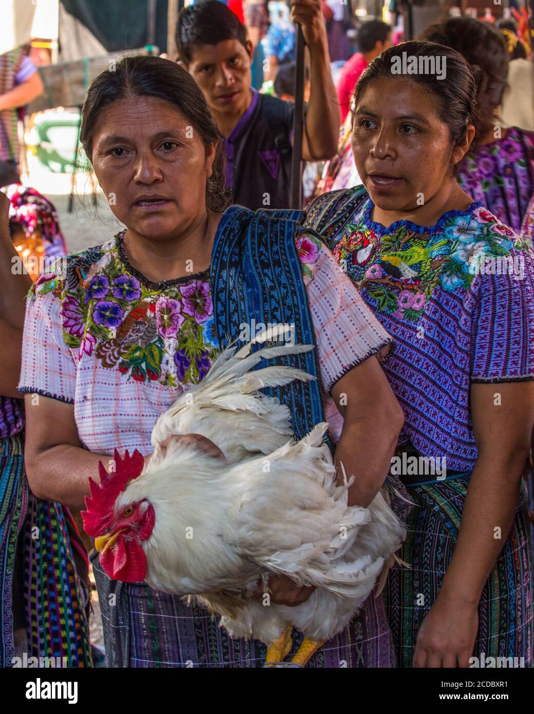 A Tzutujil Mayan woman in traditional dress with a rooster in the ...