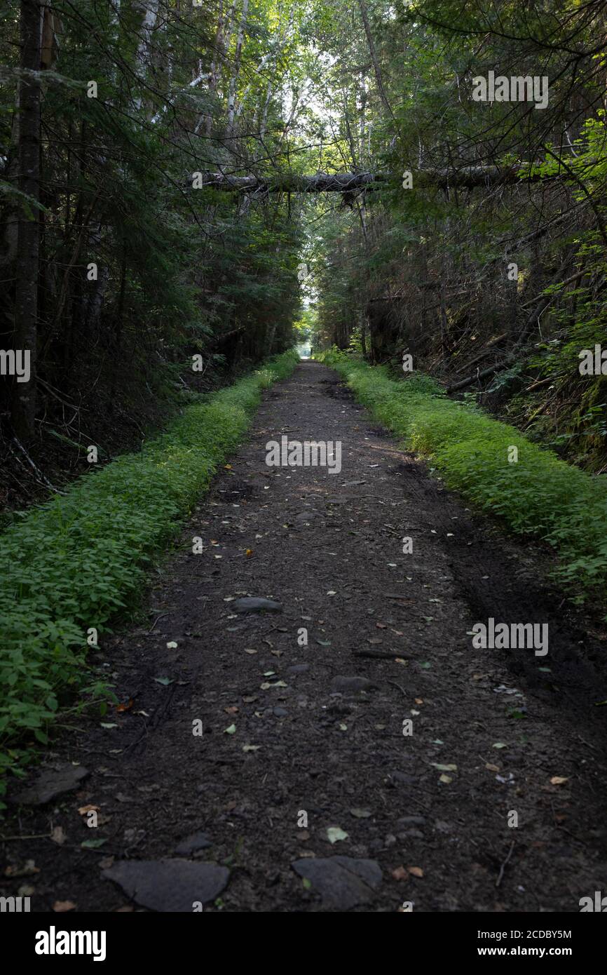 The straight and narrow path hi-res stock photography and images - Alamy
