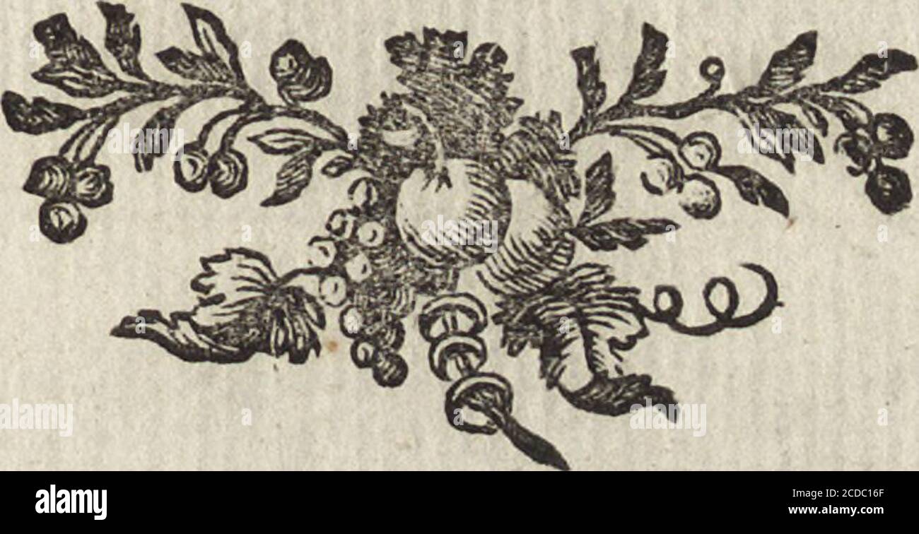 Rue Des Mathurins Hi Res Stock Photography And Images Alamy