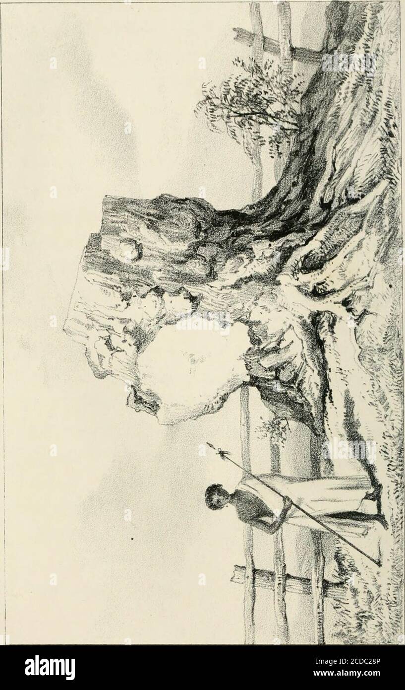 First settlers new zealand hires stock photography and images Alamy