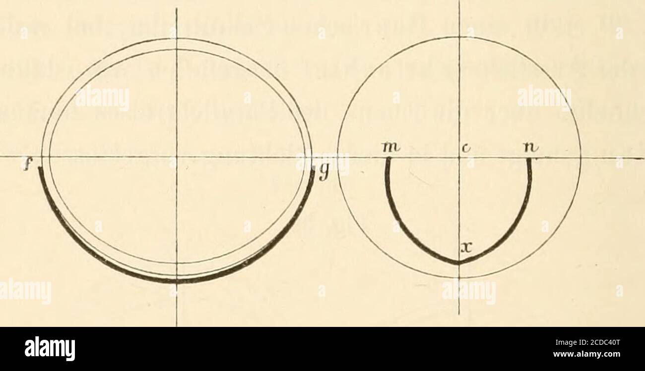 . Neue Abhandlungen aus dem Gebiete der praktischen Augenheilkunde . Fig 41.. Die Bogensehne mn der inneren Wundöffnung wurde 5-5—8mm langund die grösste Höhe ex — 2-75—4min gefunden. In Uebereinstimmung mit den vorausgeschickten Erörterungenist die Krümmung der inneren Wundöffnung und deren Ab-stand von der Ansatzlinie des Ligamentum pectinatum bei denA. G. Riehterschen Schnitten im Allgemeinen etwas grösser als beiregelrechten Beerschen und bei den Jacobsonschen. Ist der Ein-und der Ausstich bei den erstgenannten beiden Schnittweisen jedochein schiefer gewesen oder bei dem Jacobsonschen Ver Stock Photo