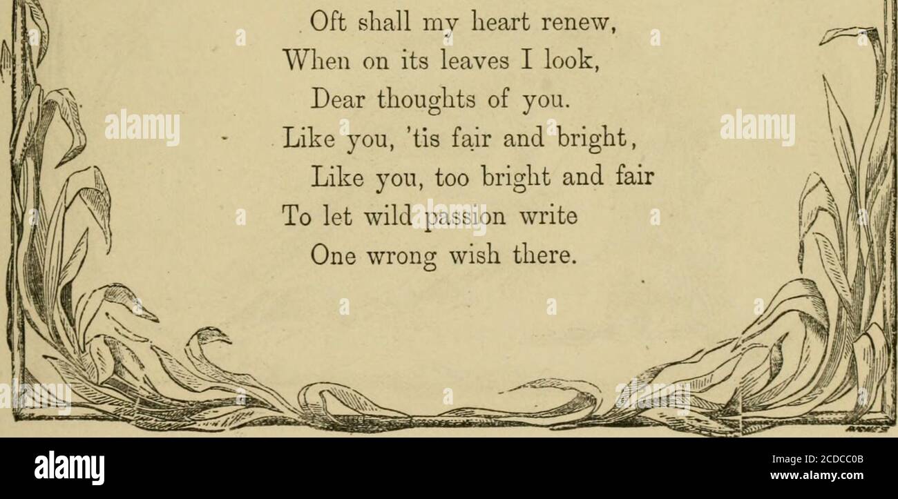 Literature, art and song: Moore's melodies and American poems; . While she  stole thro the gardenease was growing,She culld some, and kissd off its  nigAnd a rose, further on, lookd so