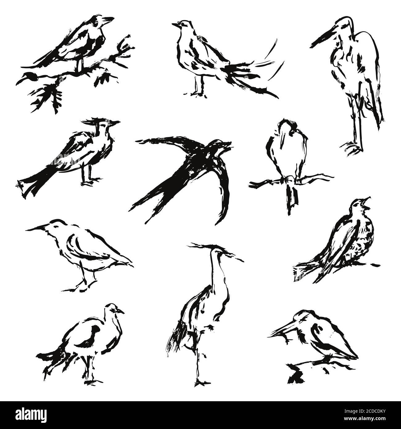 Set of artistic painted birds Stock Vector Image & Art - Alamy