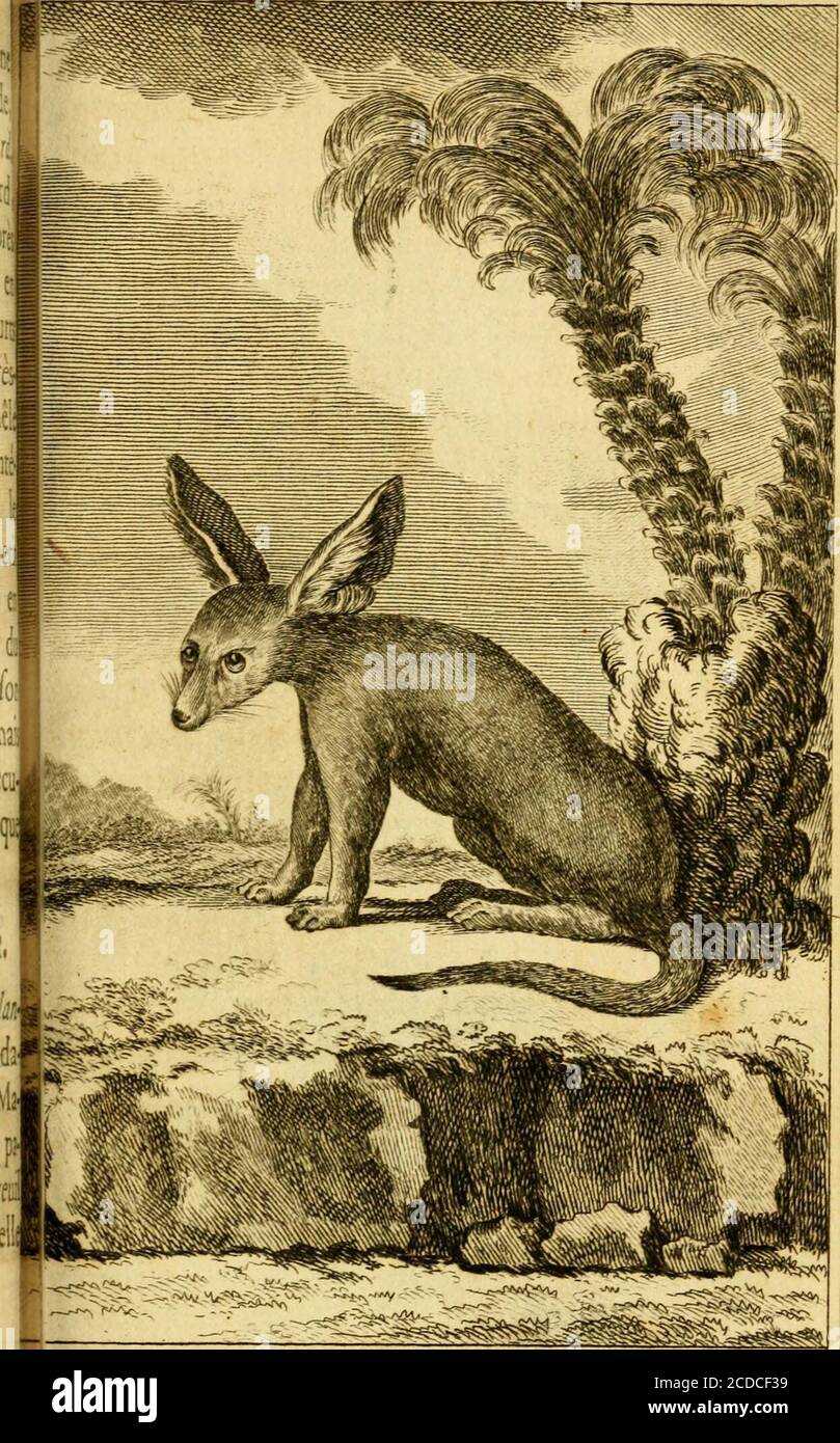 balançoire extérieur