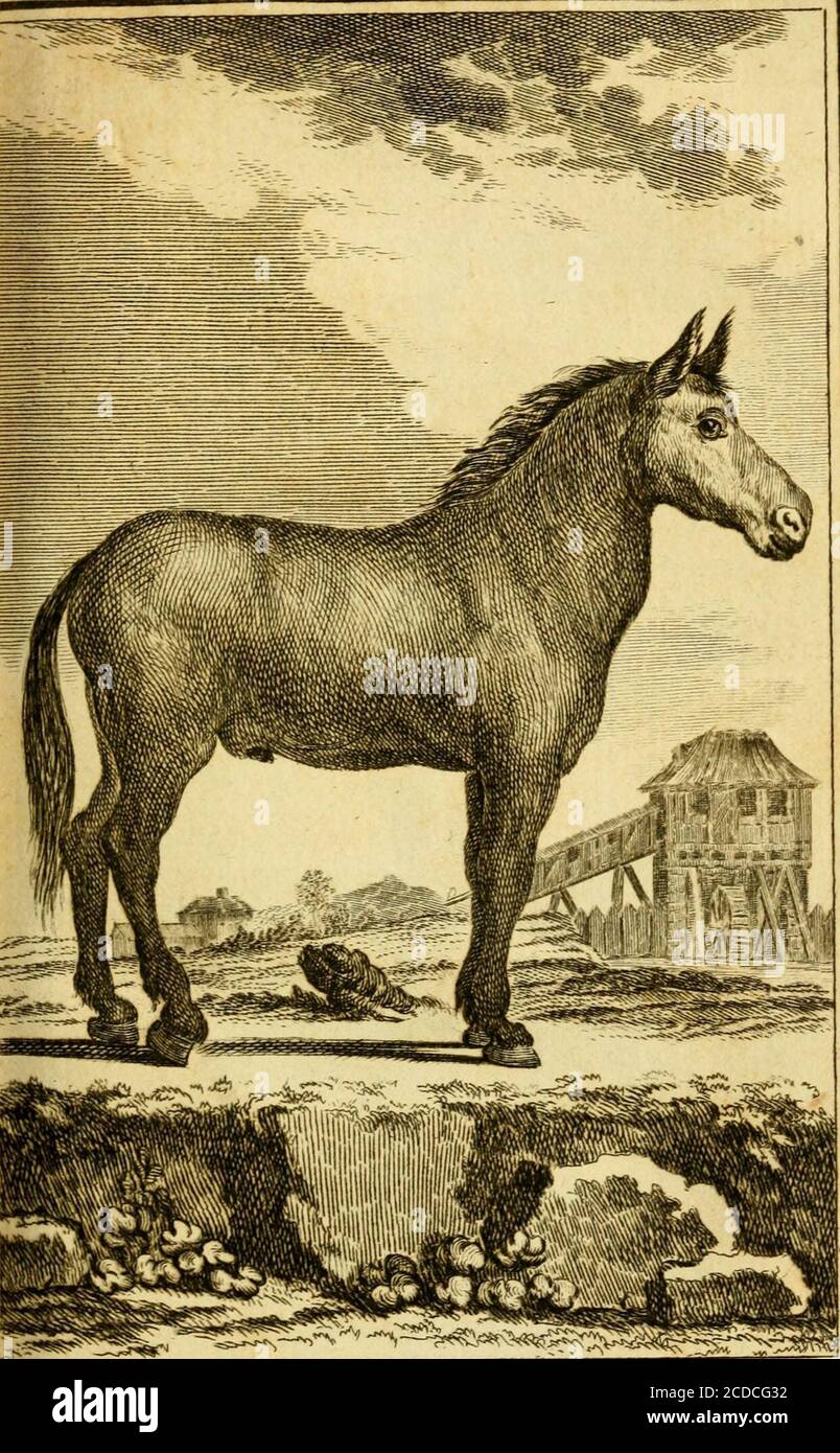 Scv 7 High Resolution Stock Photography And Images Alamy