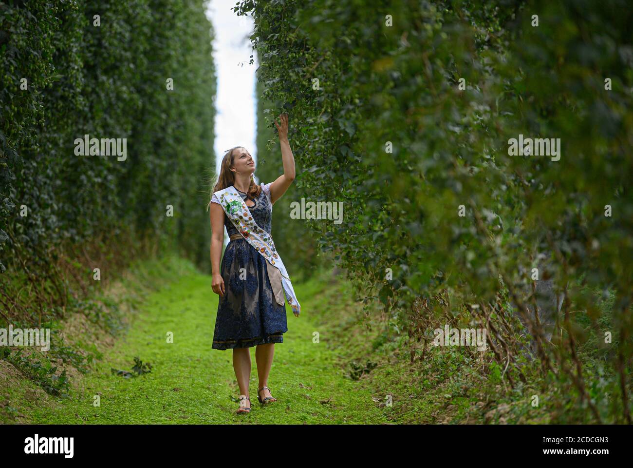 Ostrau, Germany. 27th Aug, 2020. Julia Joachim, hop queen of the Elbe